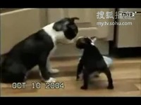 大豆行情网在线仙踪林 现在只要打开手机或电脑