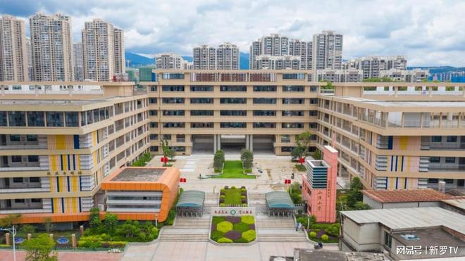 小马拉大车卡通动画