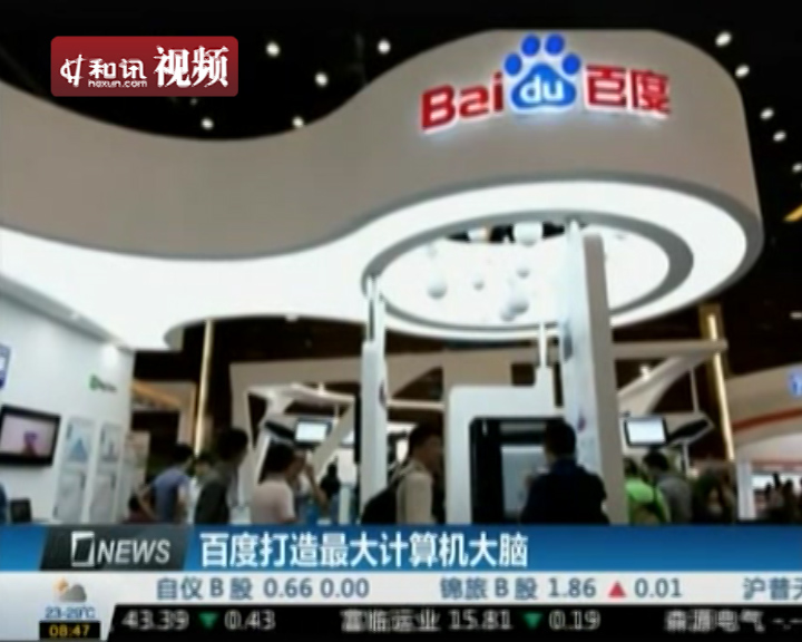 高清雏菊视频 为了能真正帮助到您