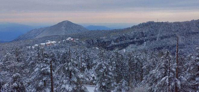 久久精品aⅴ无码中文字字幕重口 久久精品市场的无码未来