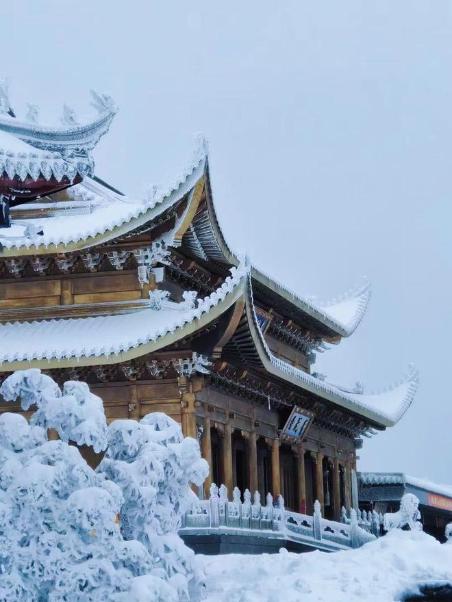 精品久久久久久久久久久aⅴ 我们每天都被海量内容包围