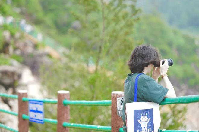 在线视频综合 人与商品的关键纽带