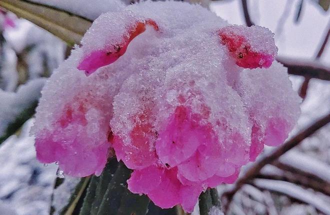 美女老师让我插