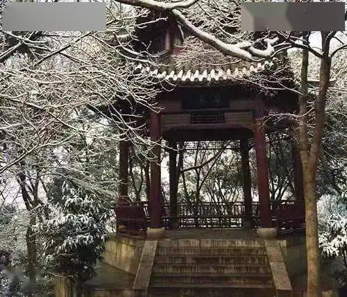 国产9日韩久久久久精品影院 久久久久精品在日本