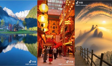 无码任你躁久久久久久老妇APP