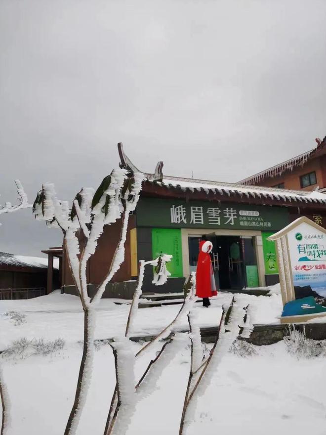 雨后小故事动态