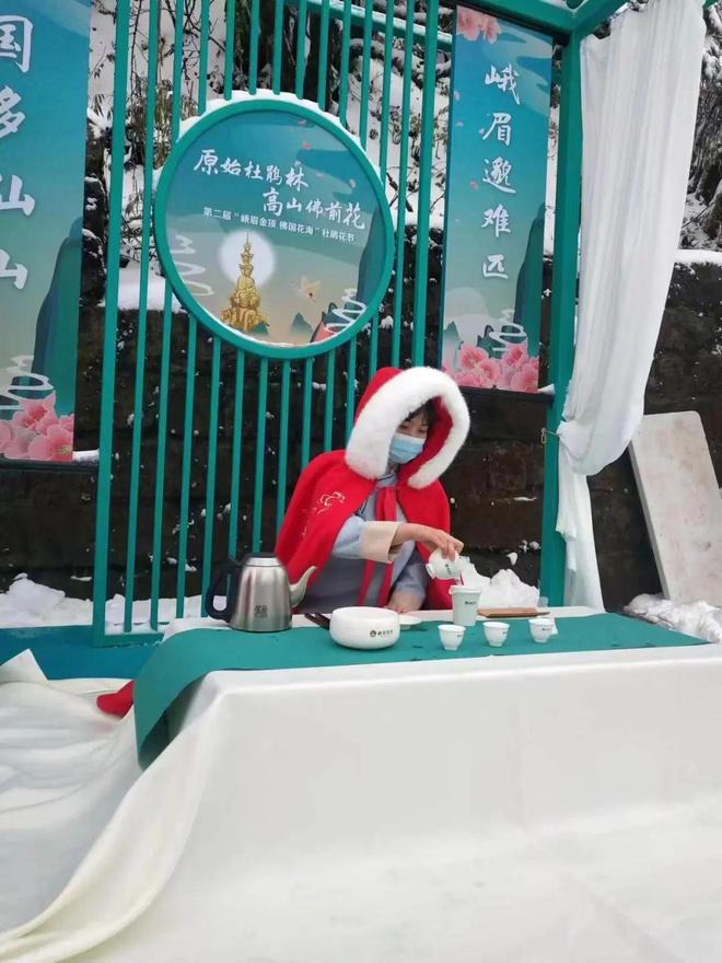 在线网站你懂得老司机