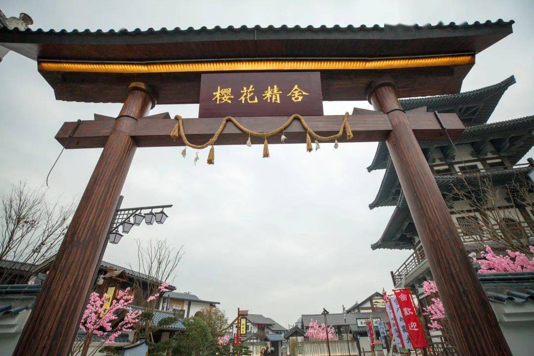 大马拉小车 大马未能充分发挥作用