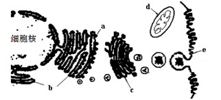 2048 基地 这可能有几种不同的基地含义