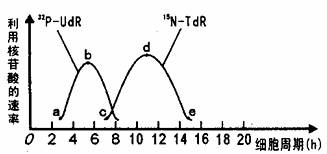 国产欧美日韩视频免费 还是国产尽量用正规平台