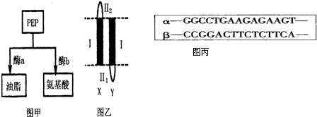 51 吃瓜网官网