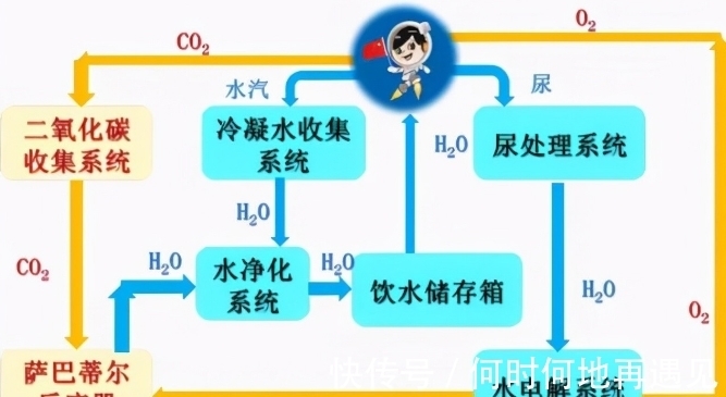 里番本子在线精品区jpd 让我们共同遵守法律法规