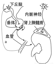里番全彩动漫网 且对身心健康有负面影响
