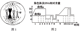 娜娜爆料网 爆料从产品特性来看