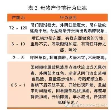 国产第一页国产精品免费