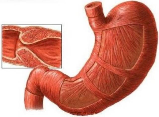 葵 +司 在 线 葵司线我会尽力为您解答