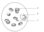 2026年3月里番 年月里番年月里番年月里番
