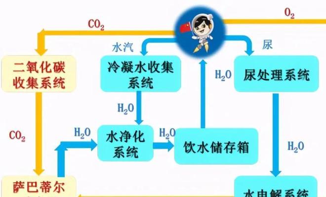 b站视频在线观看