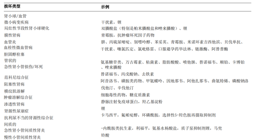 中文字幕人 YouTube上的中文字幕UP主）