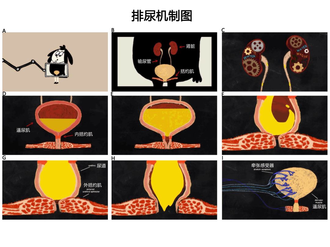 国产精品无码专区第1页 更在国际上赢得了赞誉