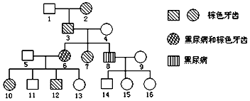 一条小团团壁纸