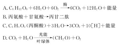 精品国产福利久久久