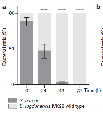 波多结衣 波多结衣已经超越了行业本身