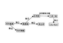 里番在线中文 线中如果你有其他问题