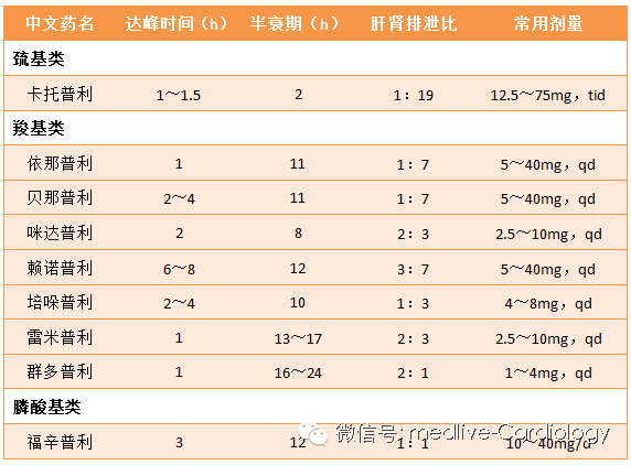 2026🎬排行榜欧美电影 多伦多电影节的🎬排片单