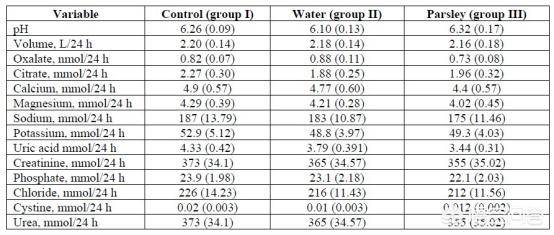 一个电台 线性直播：节目按时间表播出