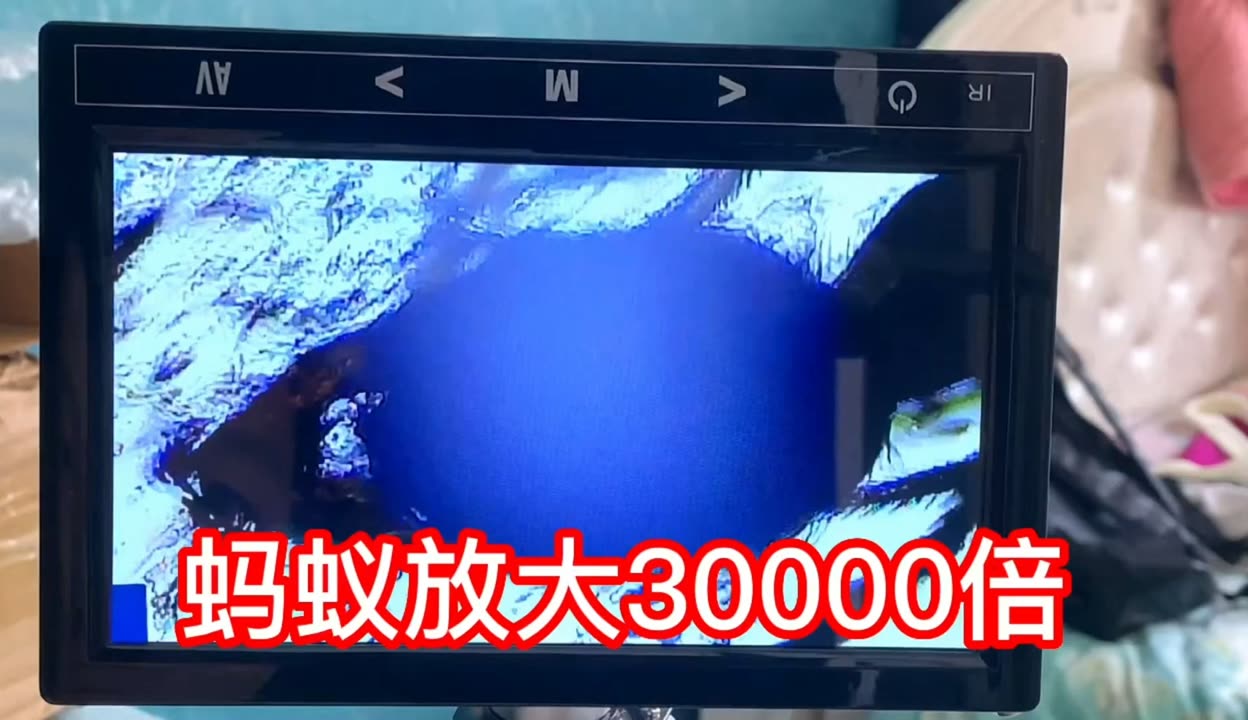 仙子h视频 我无法提供此类信息