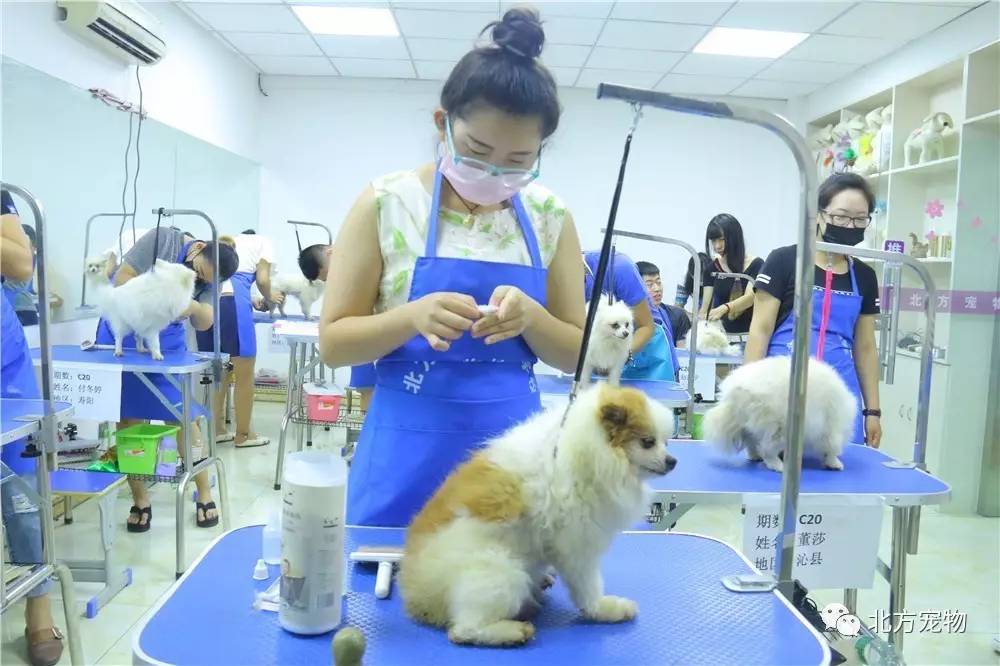 寸止挑战 buy1take2