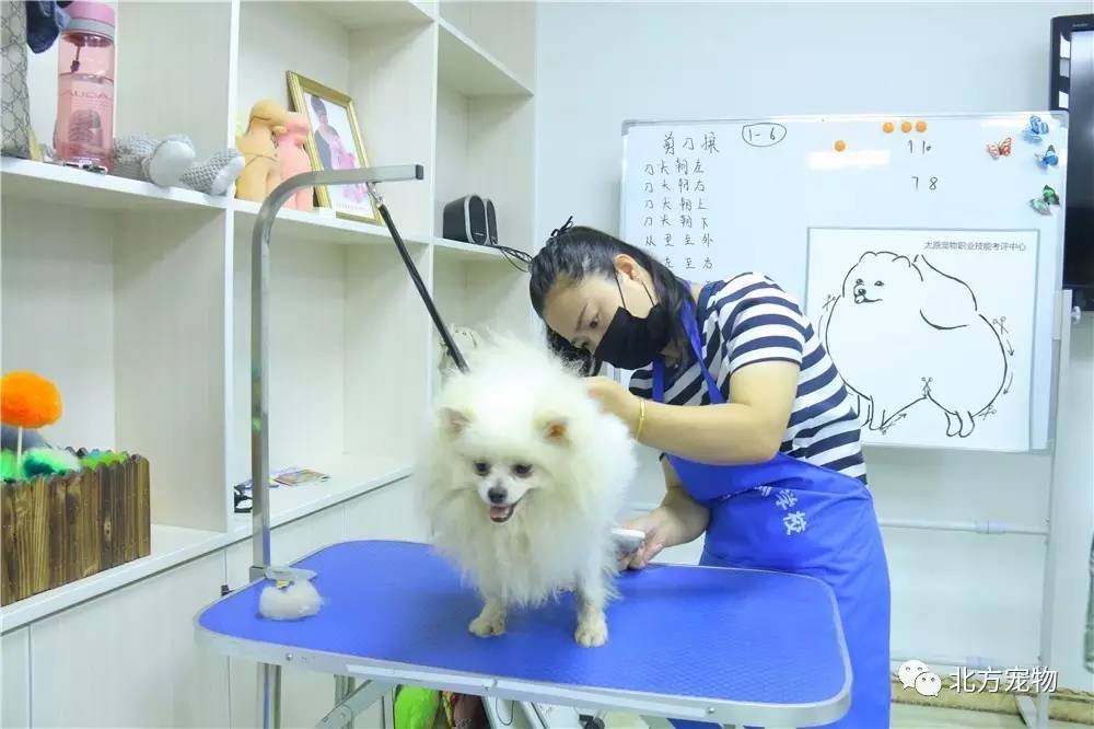 无限,山 山代表着无尽与超越