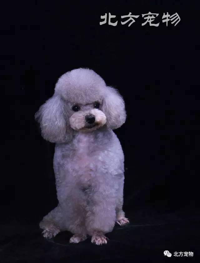 velevt8800在线观看 线观请始终优先选择合法渠道