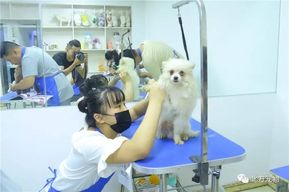 电影影视 无论你是电影影视想享受故事