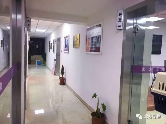 老款榴莲视频app让你榴莲忘返