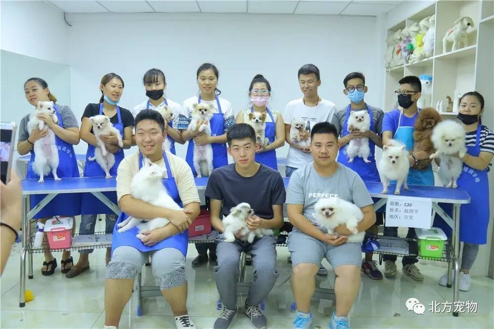 久久99久久99国产精品免视看动漫