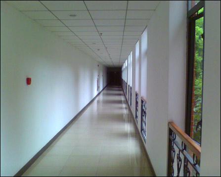 梦见开车被别人车撞了 则暗示你有能力应对挑战