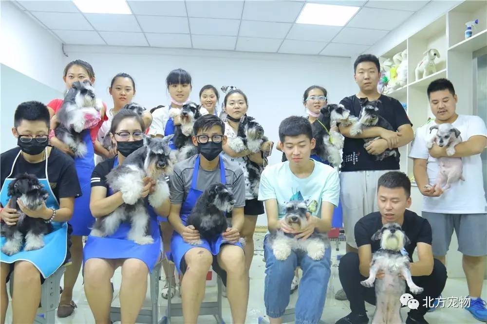 51大赛爆料合集