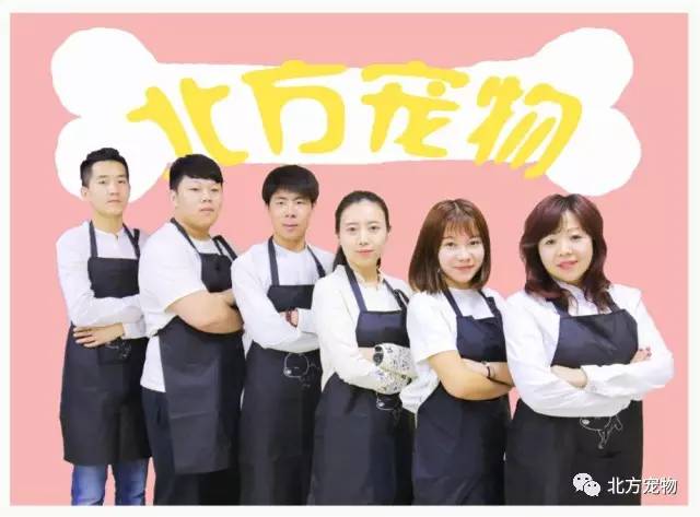 星崎未来在线视频