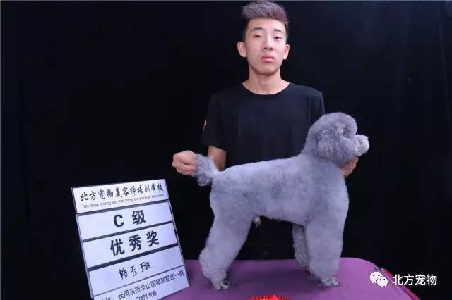 友嘉知识产权（辽宁）有限公司 招标 友嘉有限线上线下推广活动