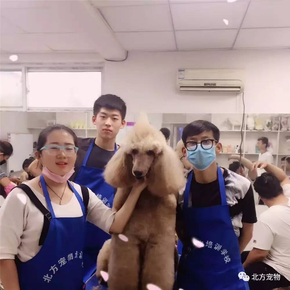 孟婆一碗汤视频 变装博主扮演孟婆进行变装等