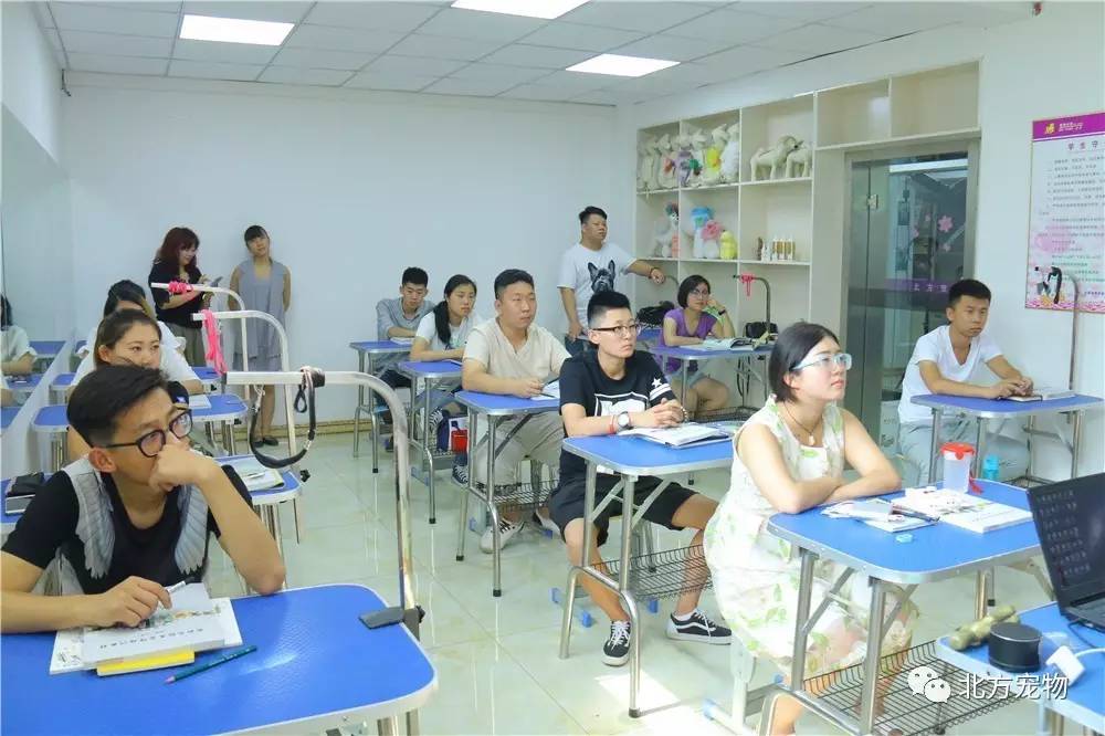 黑 料 社 区 不 +打 烊 以平衡自由度与公信力