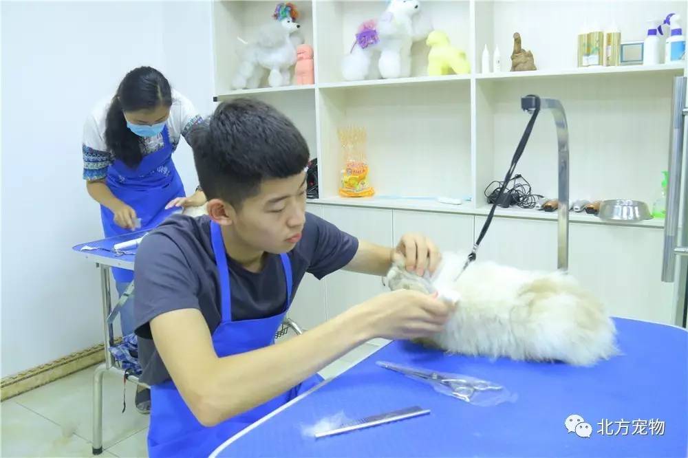 在线视频打电话