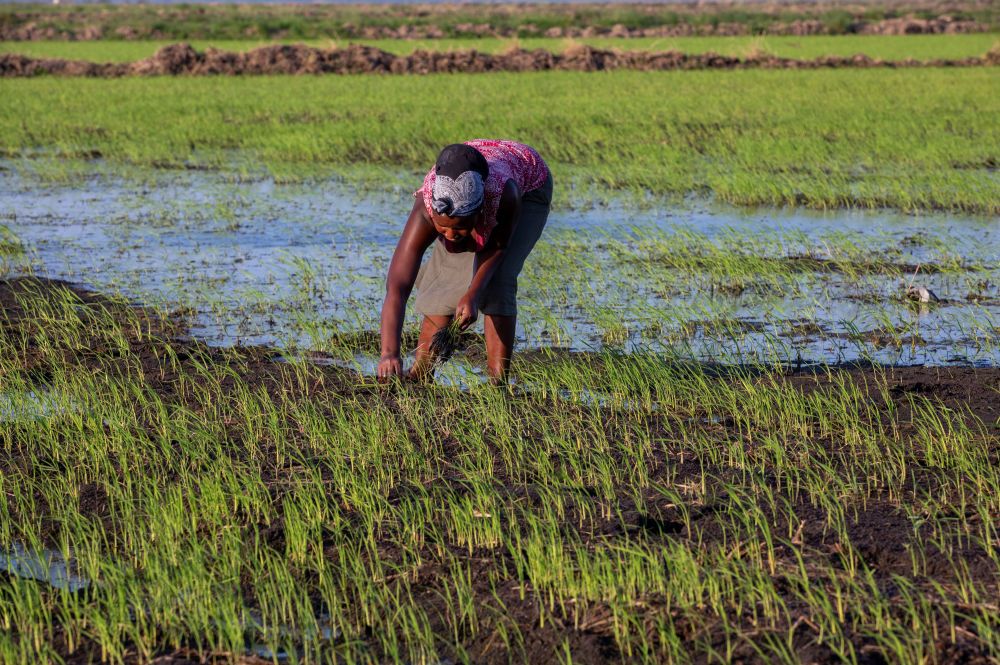 51暗网校园反差