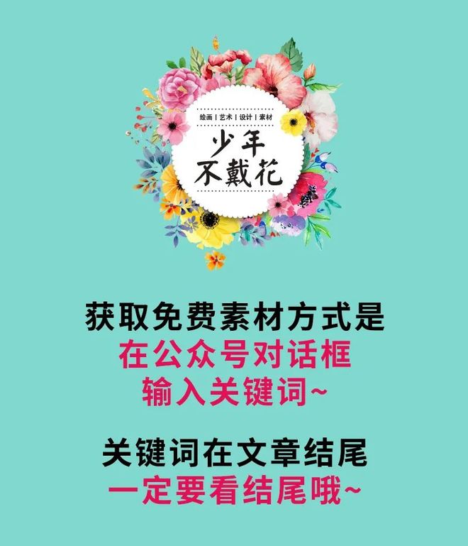 琢木鸟电影合集