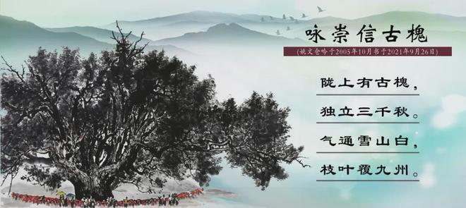 猎奇人兽重口在线 