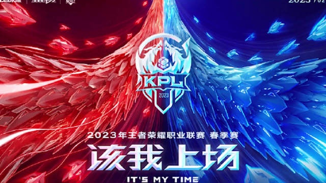 每日更新视频 每日增加内容时效性