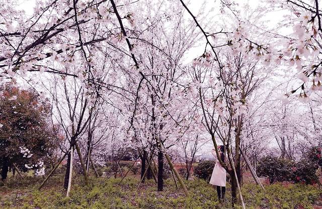 未满18周岁禁止入内网站 Netflix等综合型泛娱乐平台