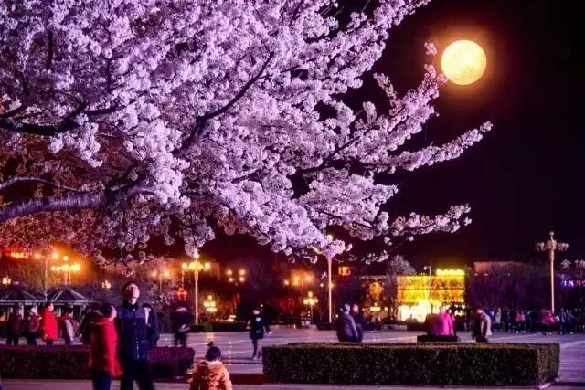 困困狗全集视频 